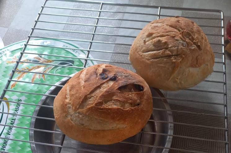 Sourdough dreams: Baker returns to first love after 10 years