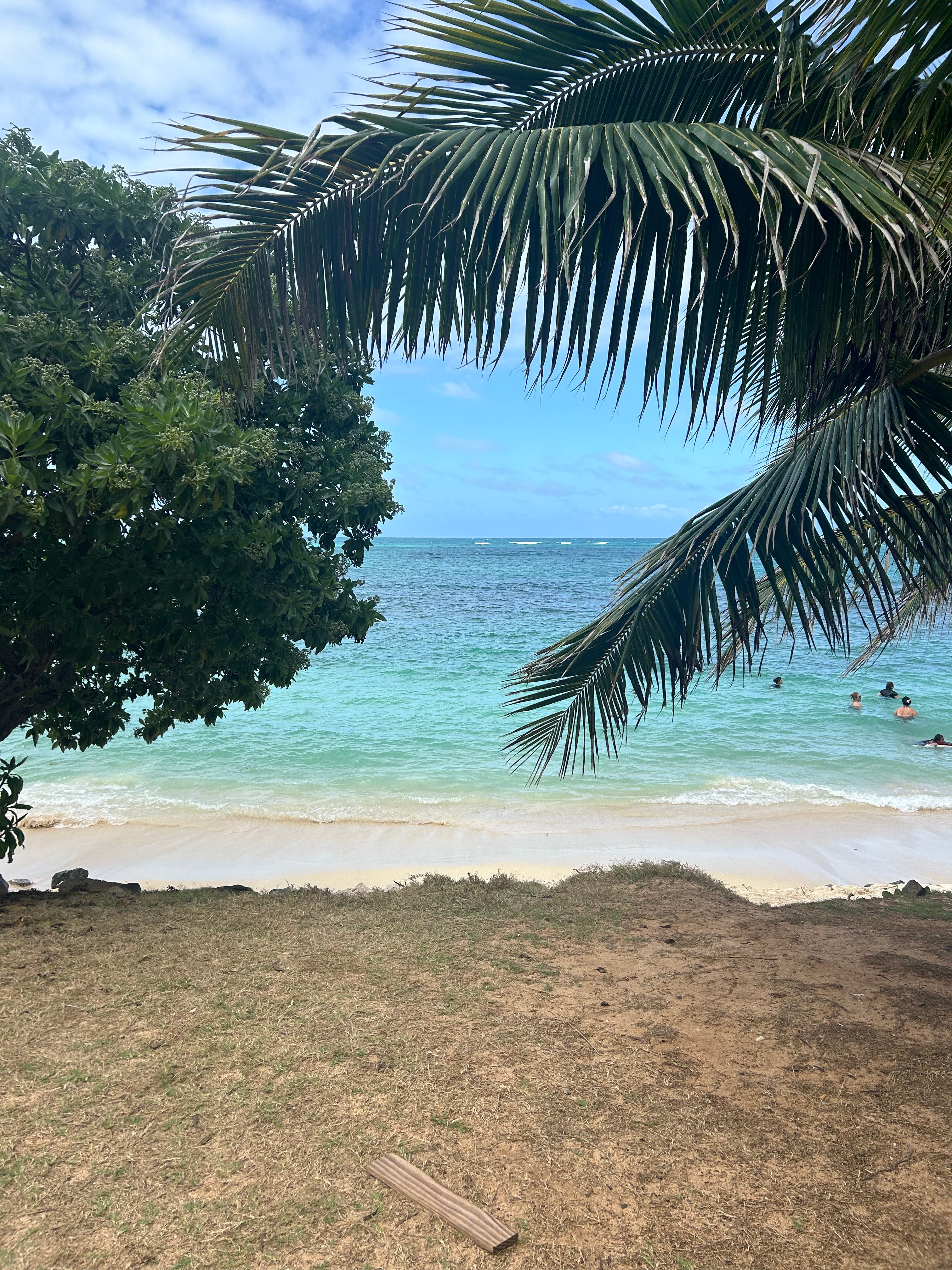 Beach and ocean view on Oahu