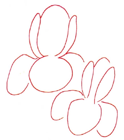 нарисовать ирисы поэтапно карандашом