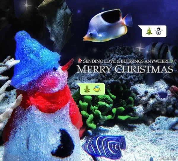 Merry Christmas 2017