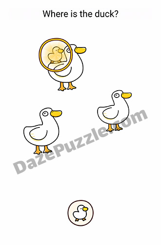 Brain Find Level 1 Where Is The Duck Answer - Daze Puzzle Brain Find Level 1 Where Is The Duck Answer - Daze Puzzle