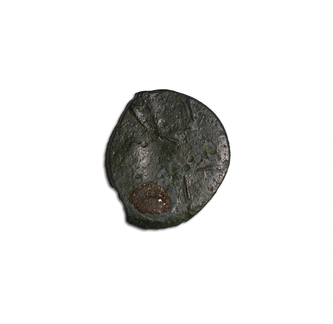 Pallava coin 1_Back