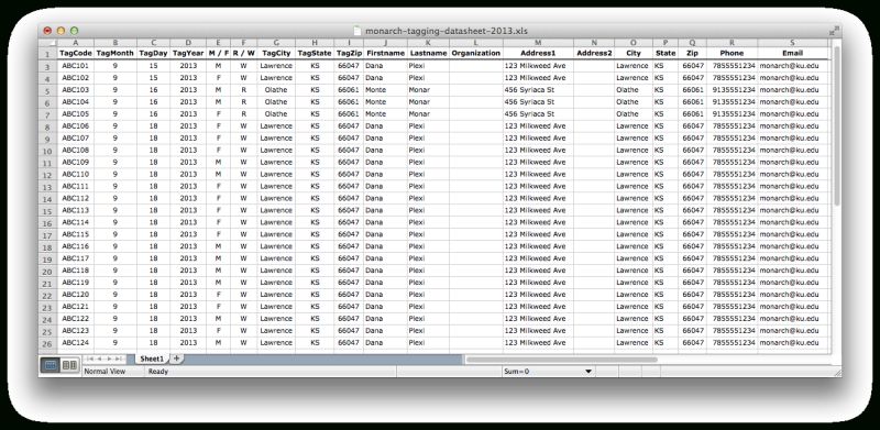 Area Code Spreadsheet Within 50 Unique Enemyofdebt Spreadsheet - Landscape Art Collection - High Resolution Quality