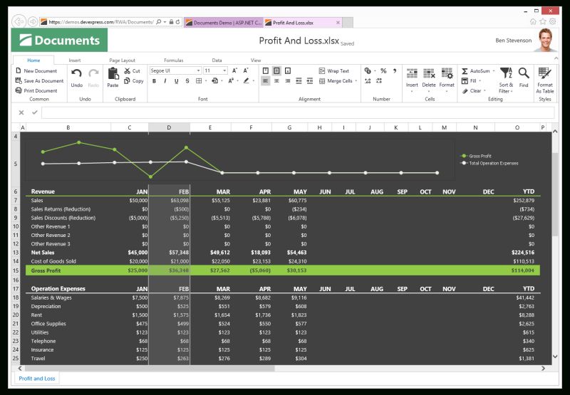 Asp Net Spreadsheet Inside Asp Netdsheet Control Mvc Devexpress Excel - Premium Minimal Photo Gallery - HD