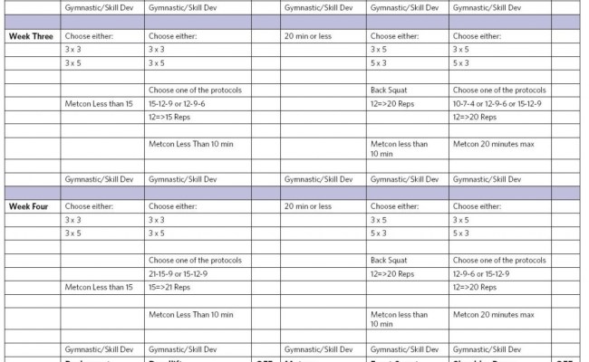 Spreadsheet Programming In Crossfit Programming Spreadsheet Template ...