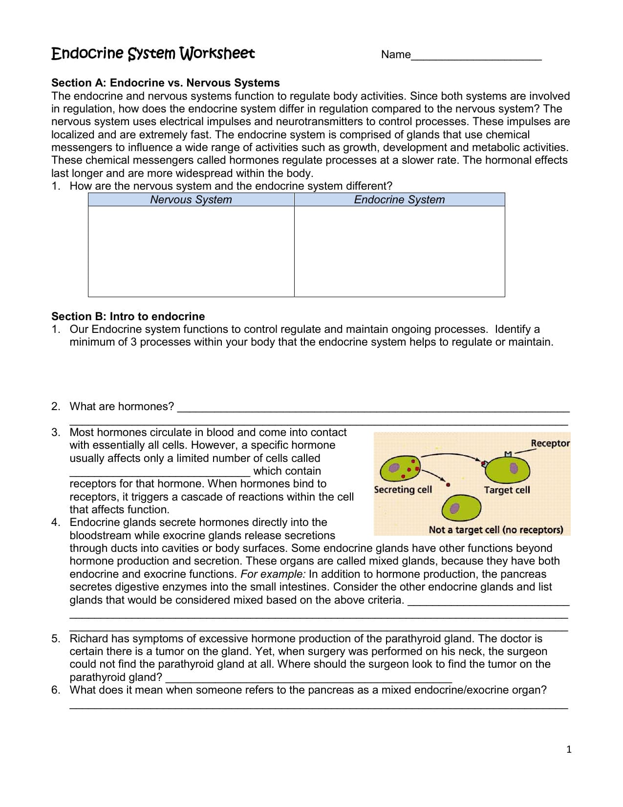 Endocrine system worksheet — db-excel.com