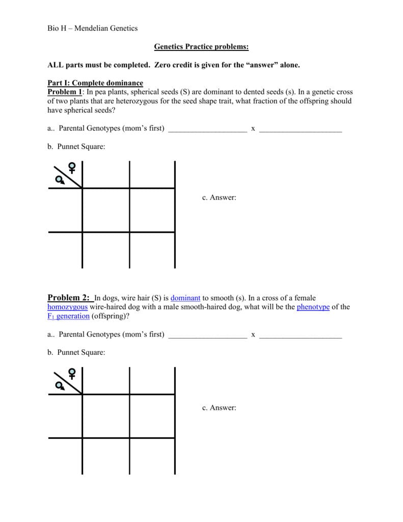 Genetics practice problems worksheet