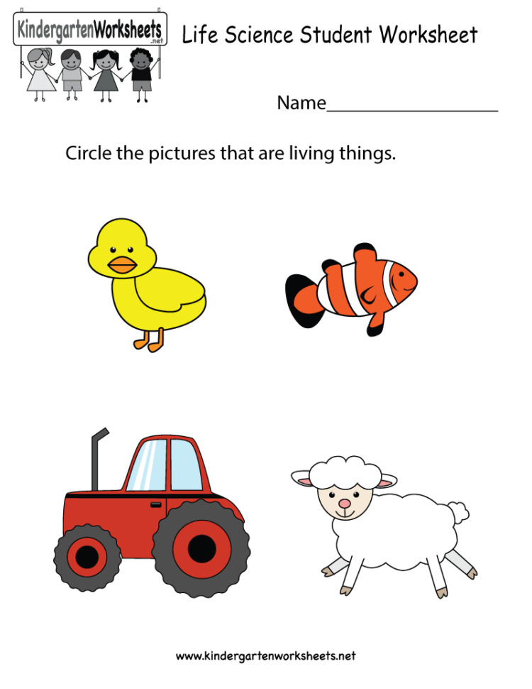 science worksheets for kids db excelcom