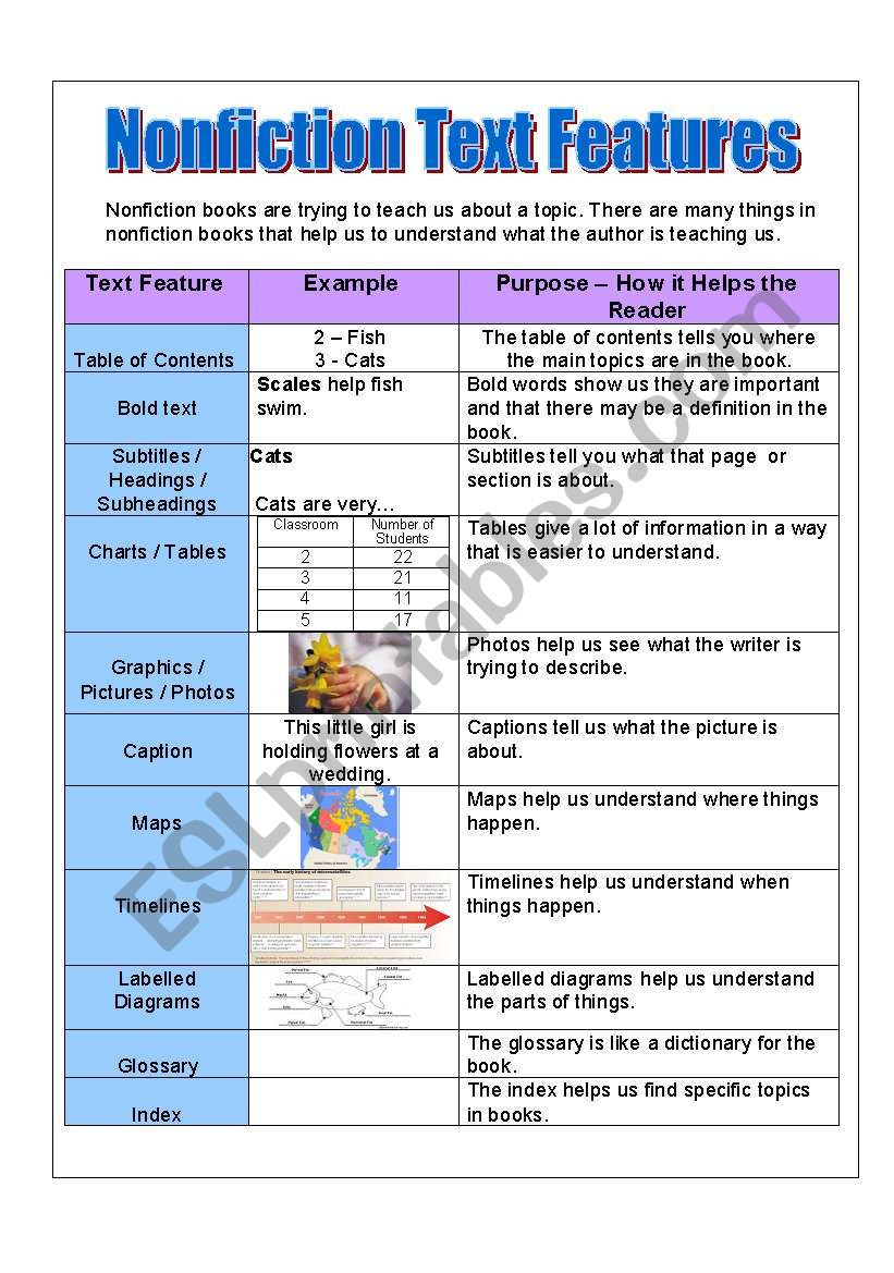Text feature worksheet