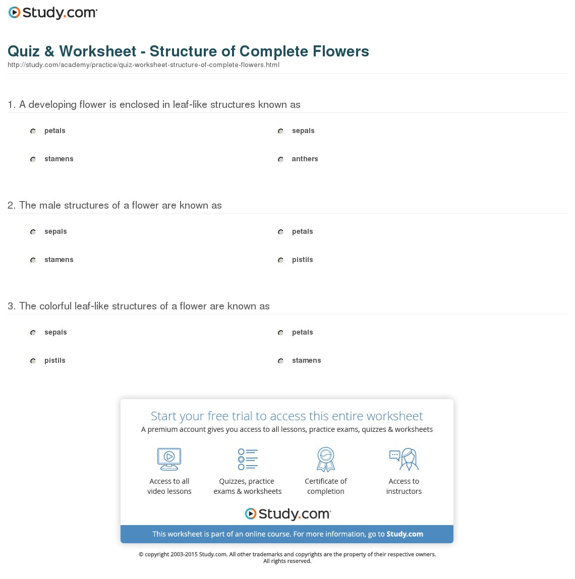 Quiz worksheet structure of complete flowers study — db-excel.com