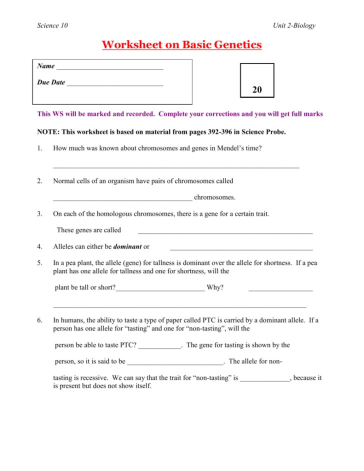 Genetics basics worksheet — db-excel.com
