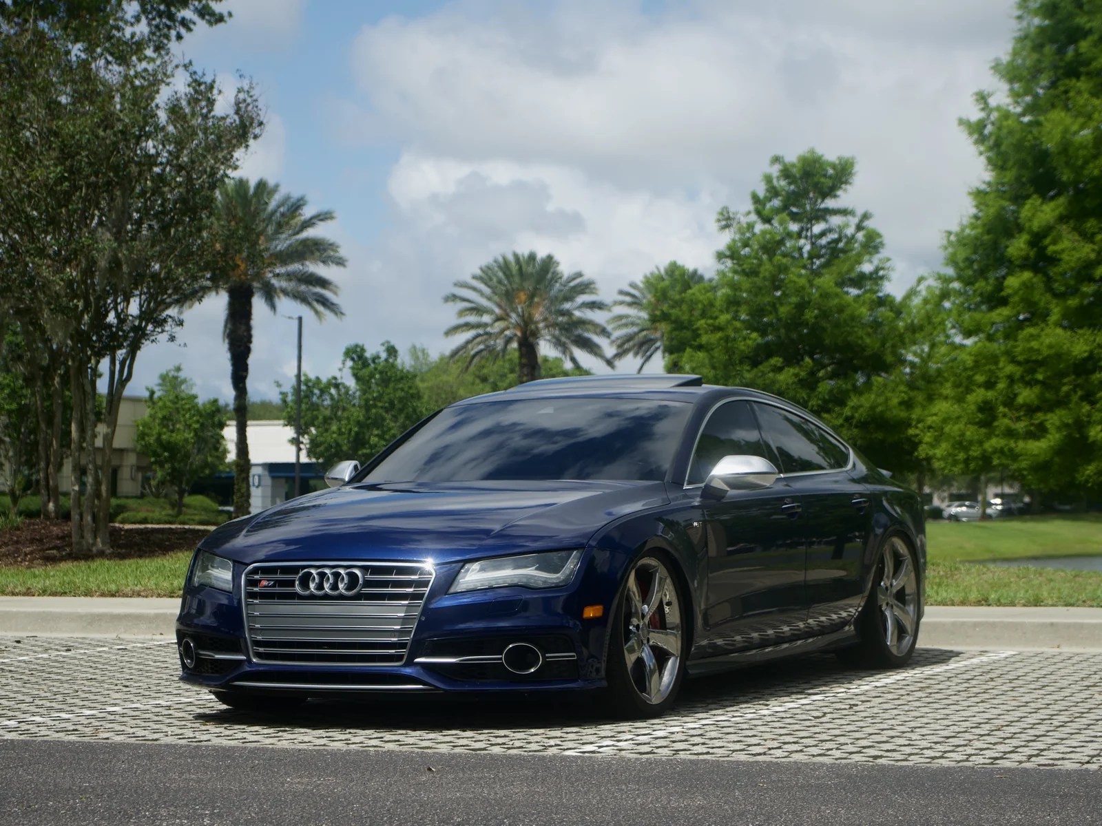 Blue Audi sedan with a lowered stance, parked beneath palm trees.