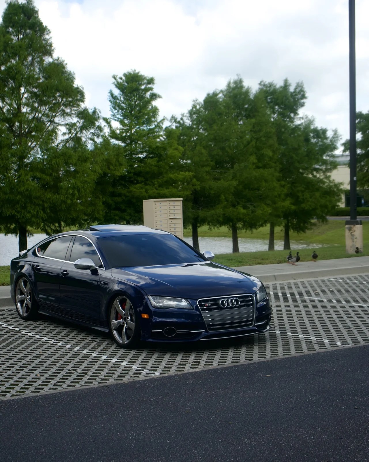 Audi vehicle photographed outdoors