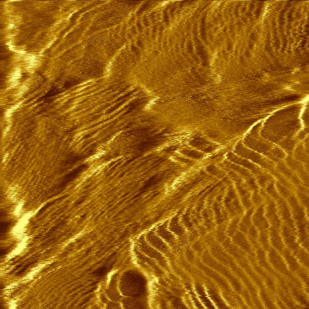Atomic planes in gold. Tunneling current image, 1 nA setpoint, 50 mV bias.