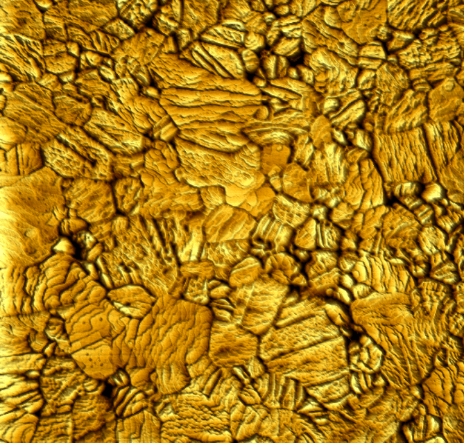 Gold. Height image. 50 mV, 1 nA, 1Hz line rate.