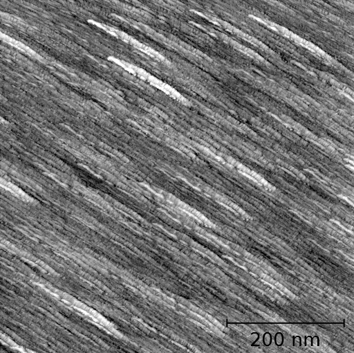 Sputtered platinum film. Height image. 100 mV, 1 nA, 1Hz line rate.