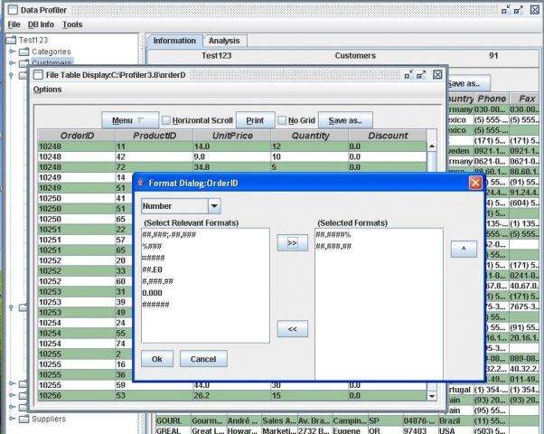 38 Data profiling tools - DBMS Tools