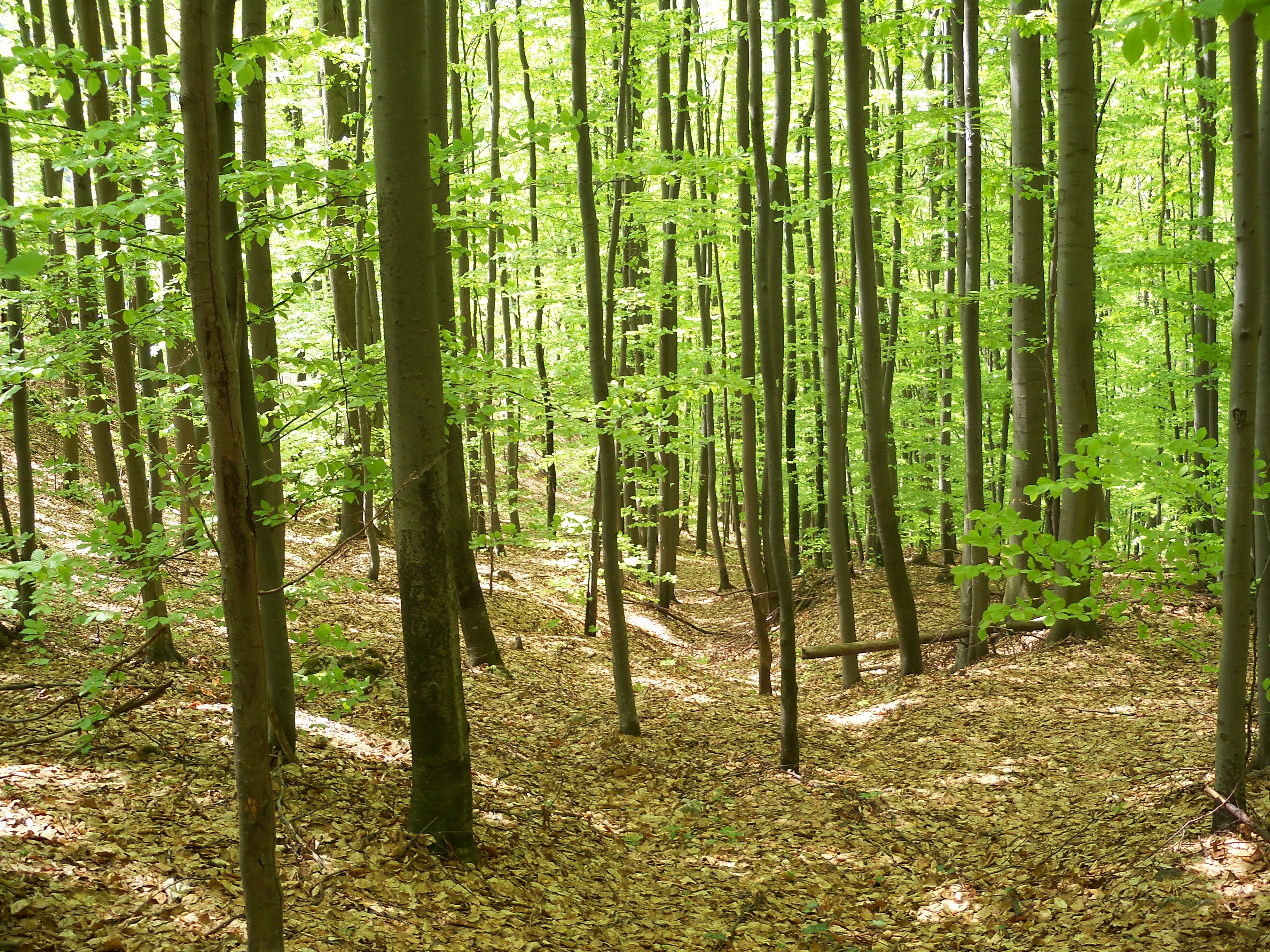 It's a place to keep your money safe and track how much you spend it. Prices - Mayflower Disclosure Services Ltd