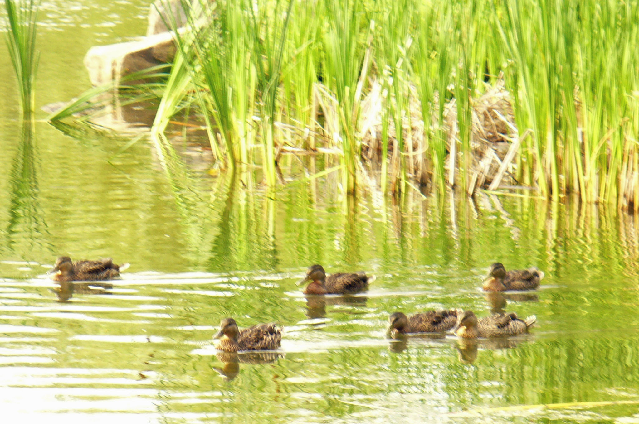 En attendant le soir