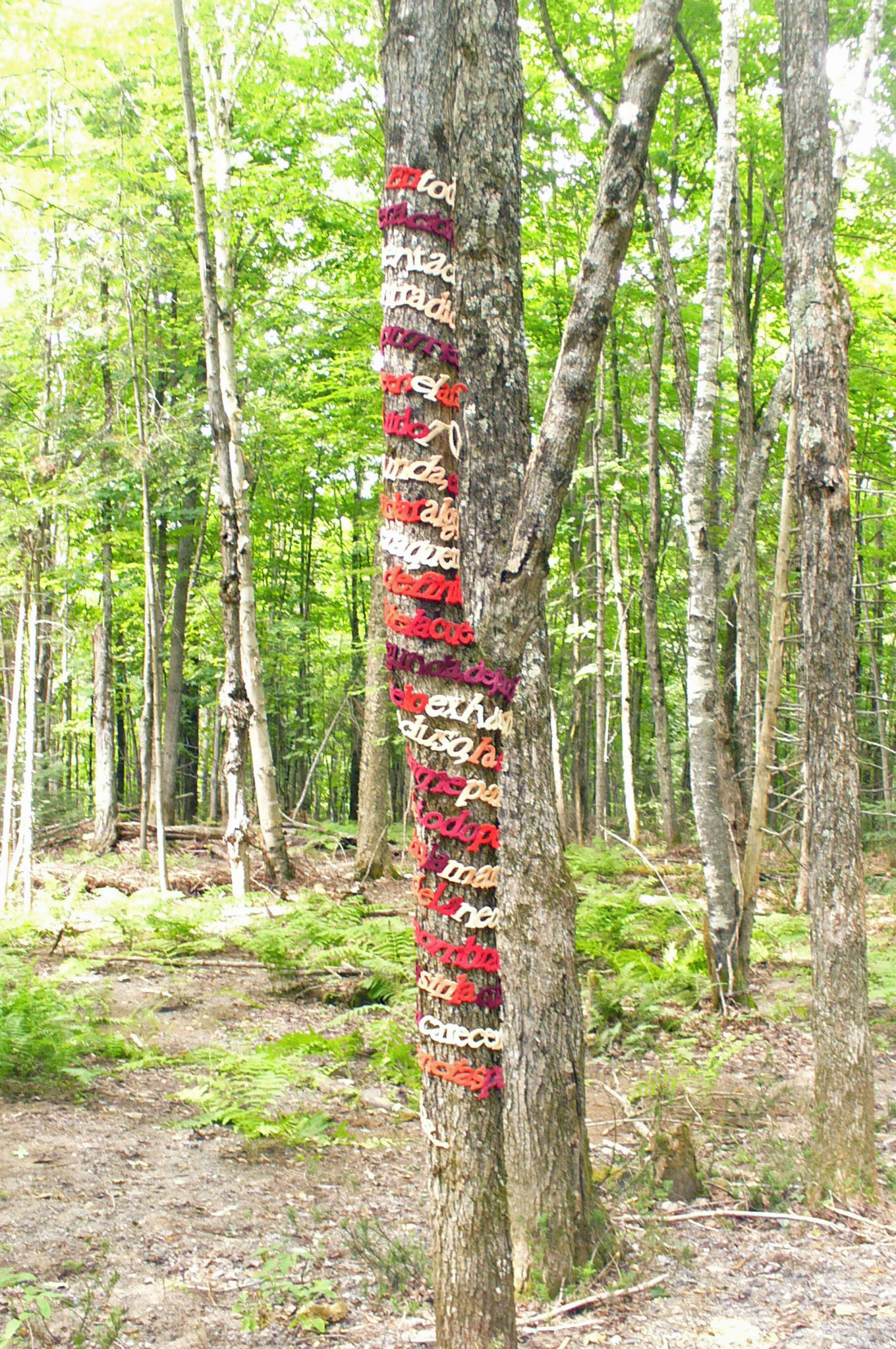 Les arbres qui parlent