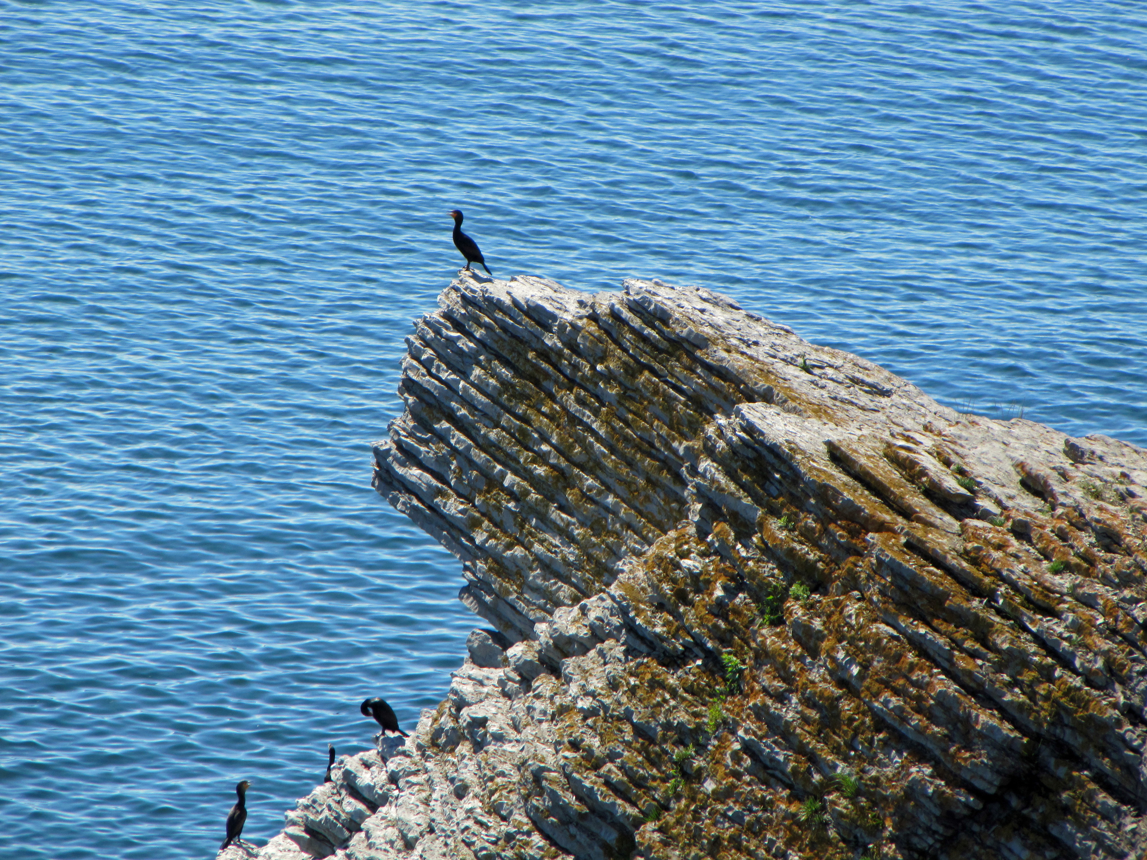 Des roches millénaires