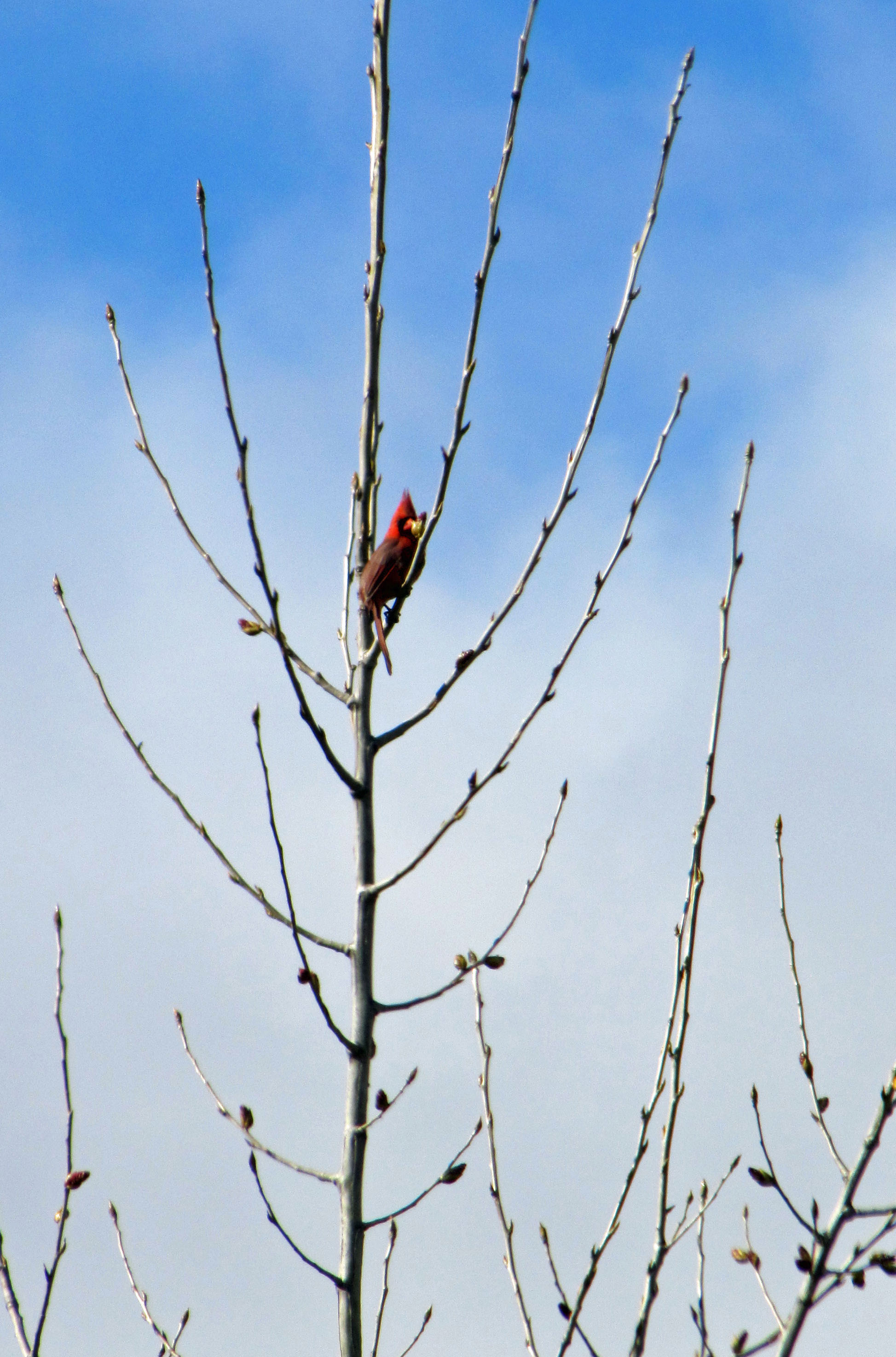 Visiteur de au-delà