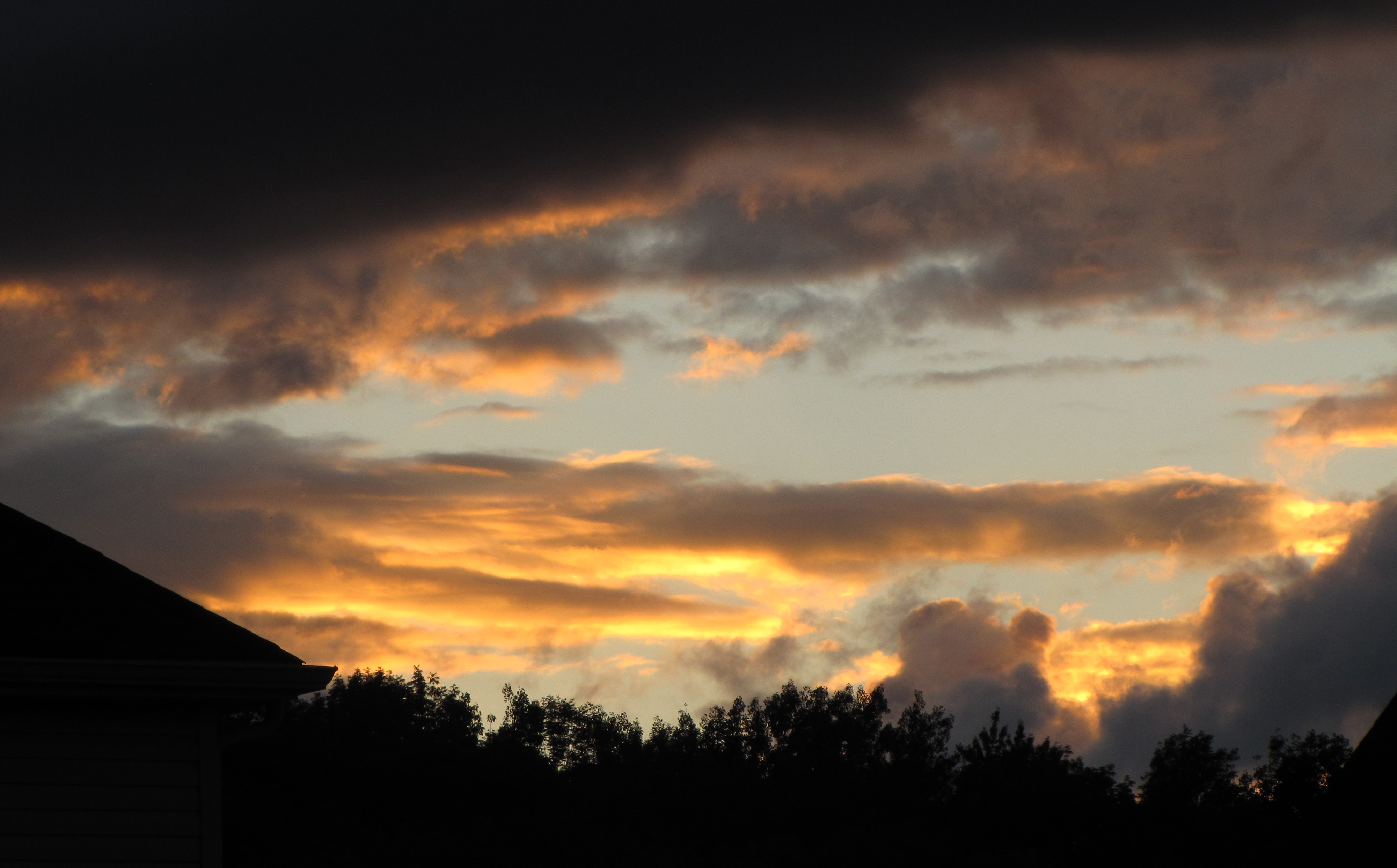 Evening painted blue