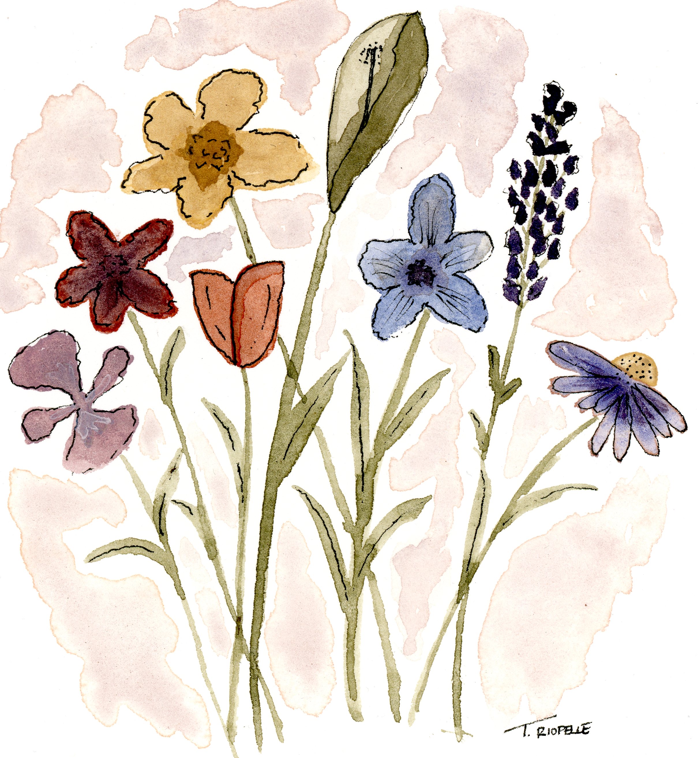 June Flowers