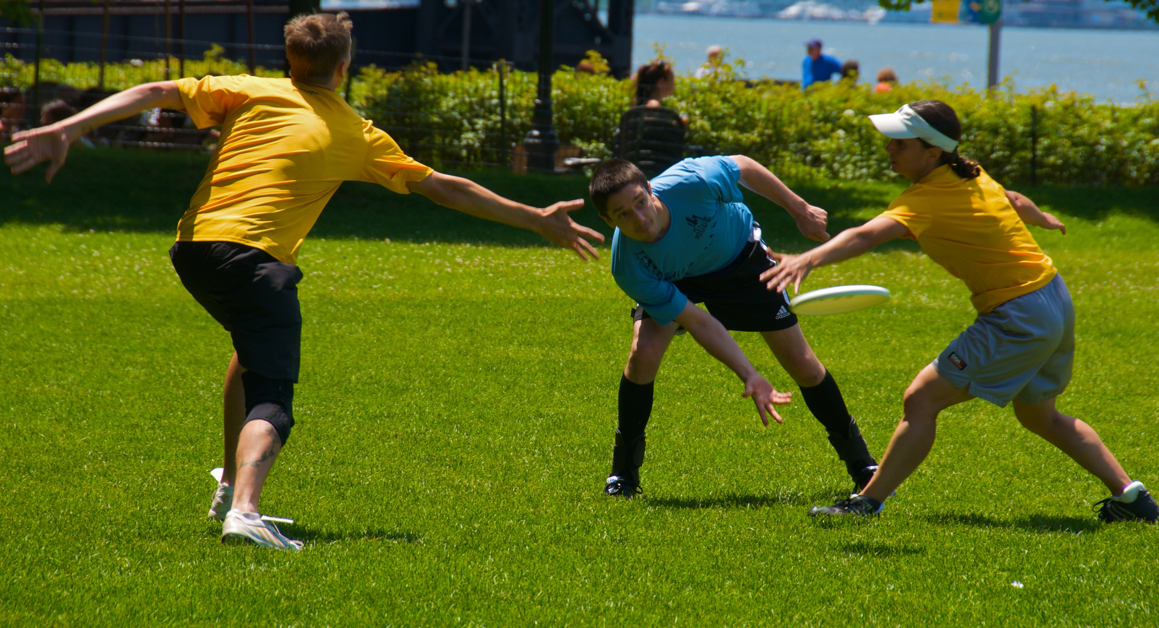 dc's best ultimate frisbee leagues dc fray on frisbee wallpapers