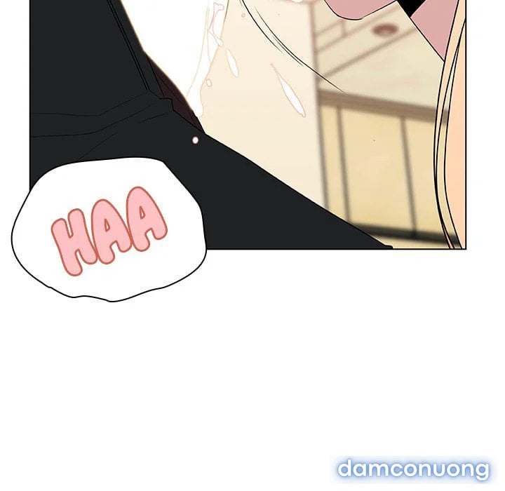 Hoa tàn