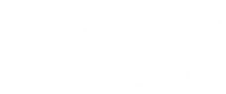 BICSI