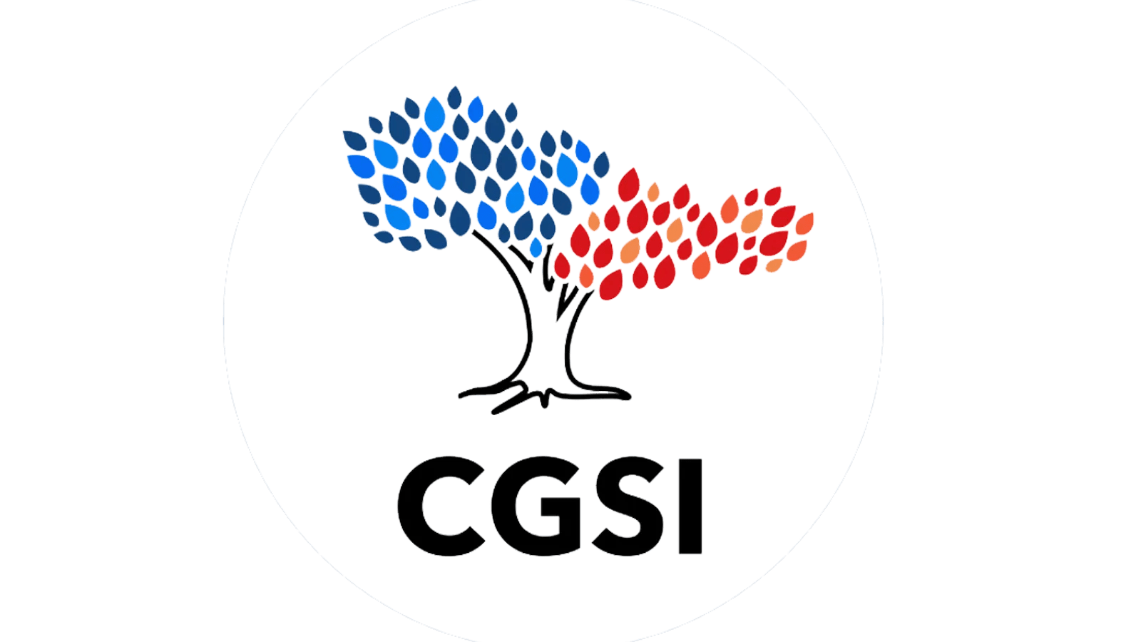 cgsi
