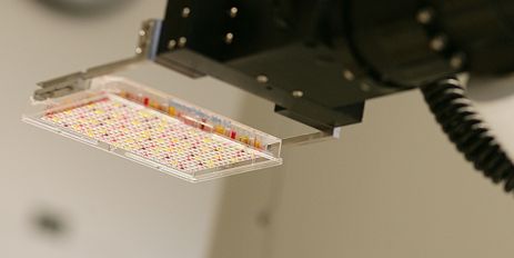 High Content Screening Creative Bioarray Cellassay - Download Perfect Light Design | Ultra HD