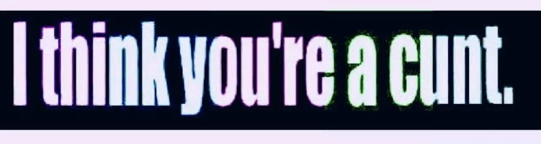 I THINK YOUR A CUNT READY TO PRESS DTF TRANSFER