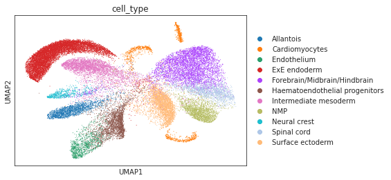 Tutorial 1 Spann - Elegant Nature Texture - 8K