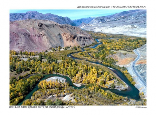 Фото 4: Снежный барс. Исследовательская работа "по…