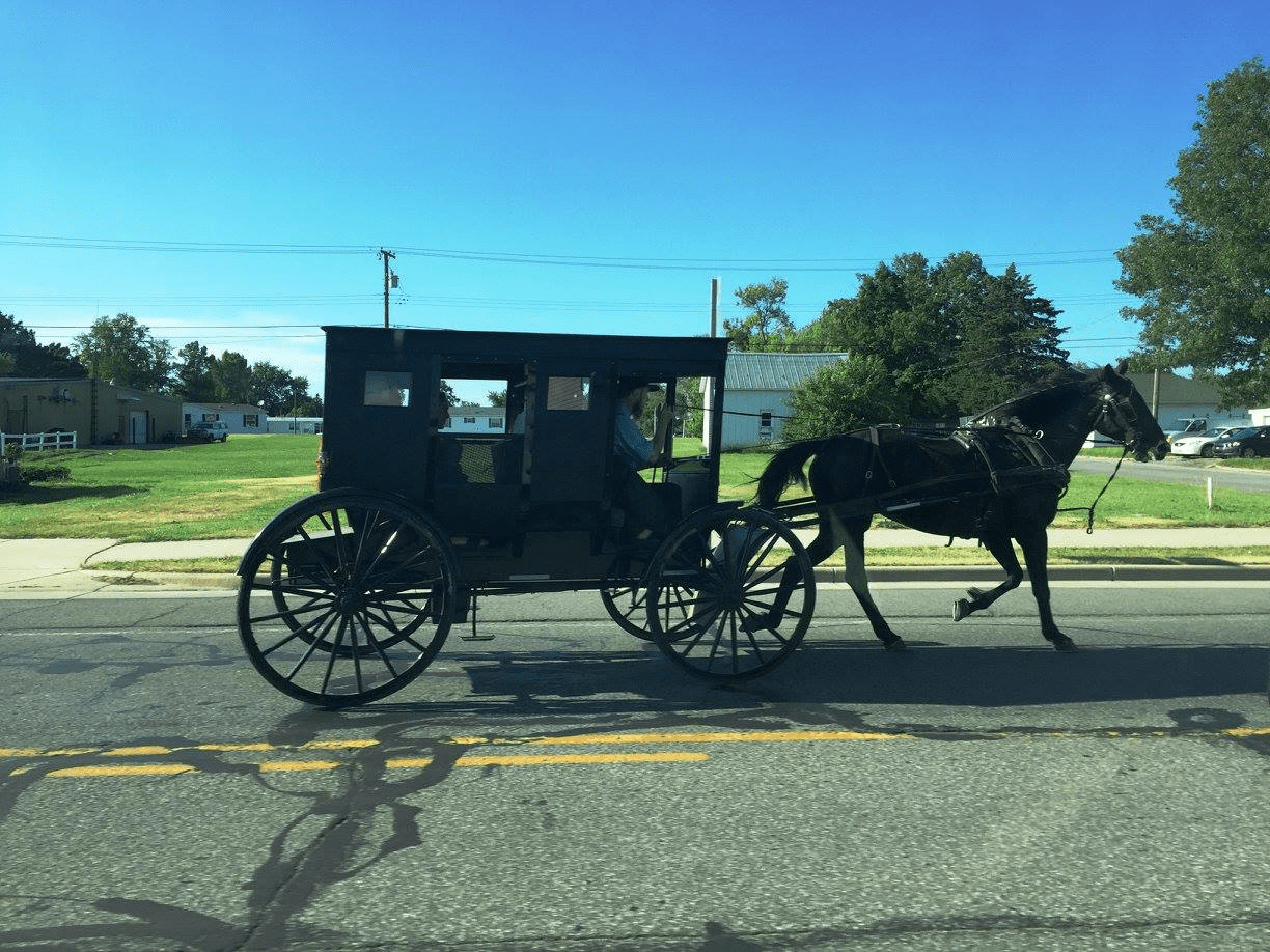 Nappanee Indiana Reunion