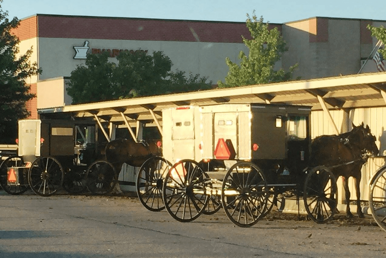 Nappanee, Indiana Reunion