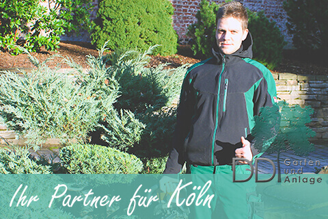 Ferreira Garten Und Landschaftsbau Koln