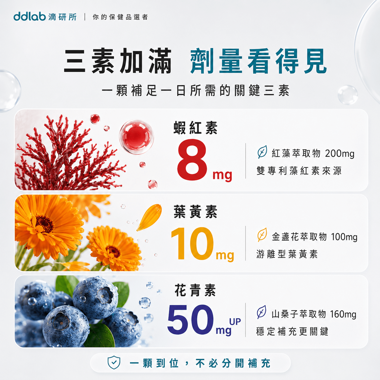 葉黃素產品說明 3