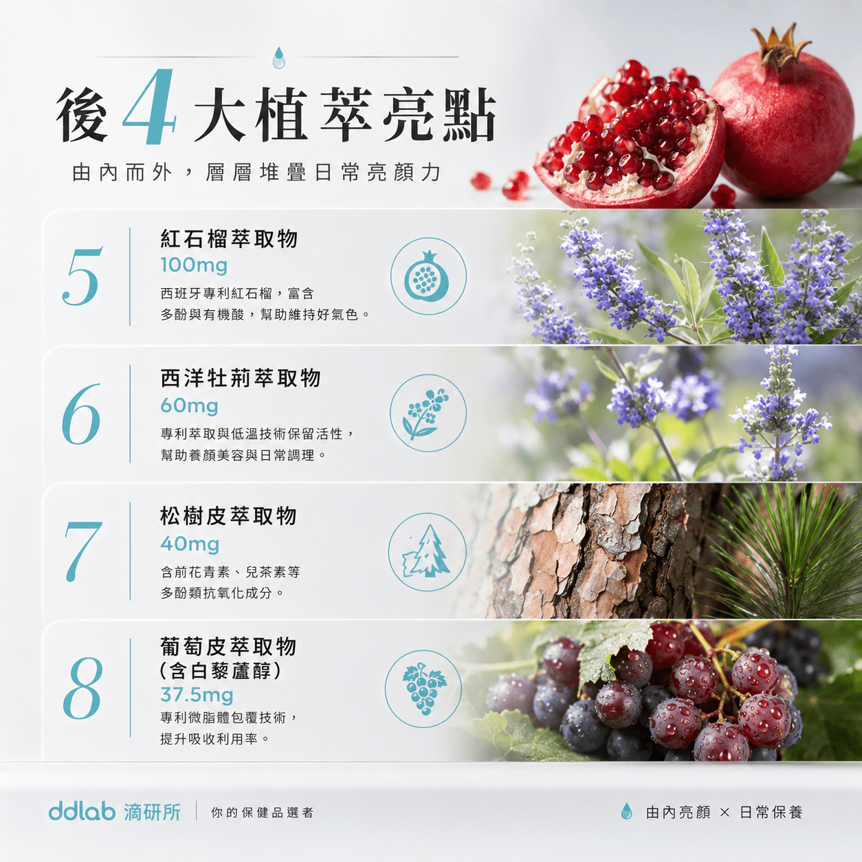 水光肽白產品說明 4