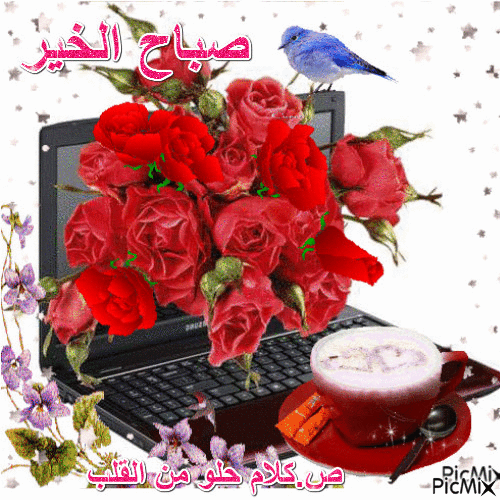 Watch the full video | create gif from this video. ØµÙˆØ± Ù…ØªØ­Ø±ÙƒÙ‡ ØµØ¨Ø§Ø­ Ø§Ù„Ø®ÙŠØ± , Ø§Ø¬Ù…Ù„ ØµØ¨Ø§Ø­ Ø§Ù„Ø®ÙŠØ± Ù…ØªØ­Ø±ÙƒØ© Ø¨Ø§Ù„ØµÙˆØ± - Ø§Ù„Ù…Ù†Ø§Ù…