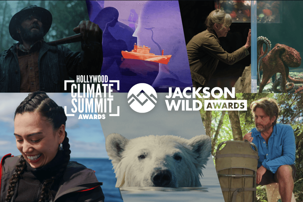 Hollywood & Jackson Wild: Unveiling Climate Storytelling Champions (2026)