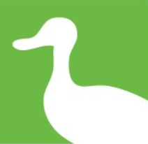 green background with a silhouette of a duck