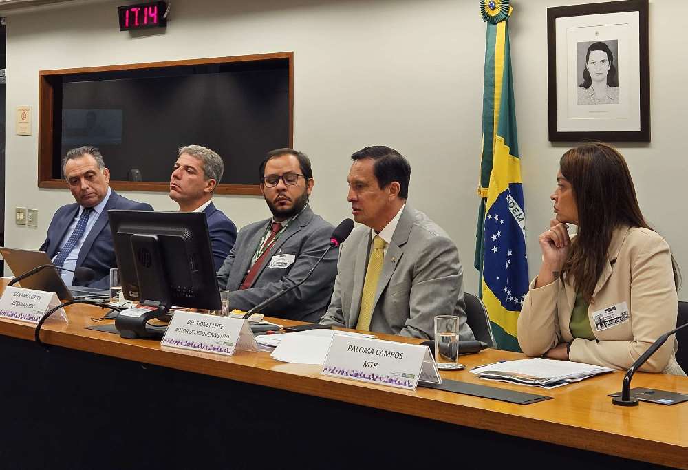 Comissão debateos impactos econômicos das obras da BR-319 na Região Norte (Foto: Divulgação)