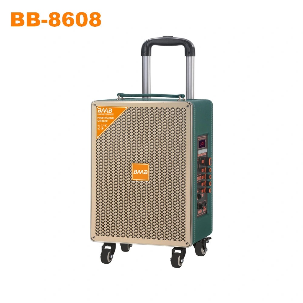 BB-8608 Outdoor Karaoke Bluetooth Speaker