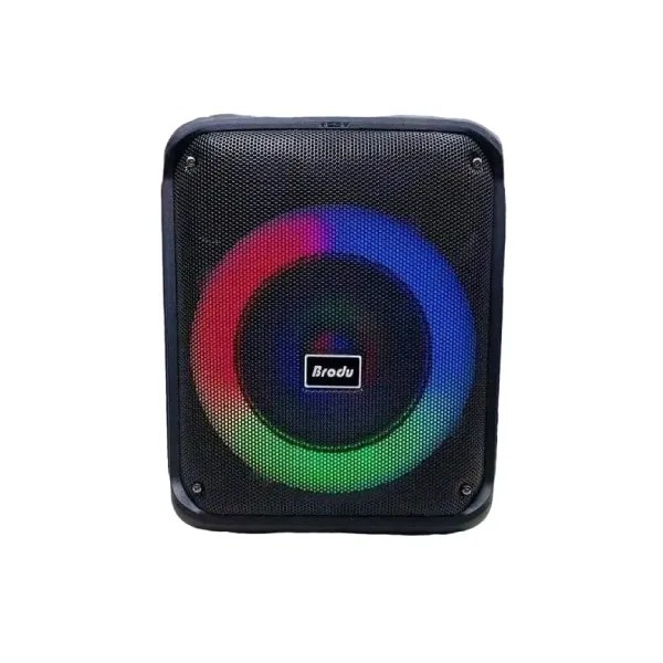 BTS-1739 Bluetooth Karaoke Speaker