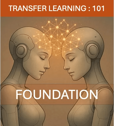 Transfer Learning