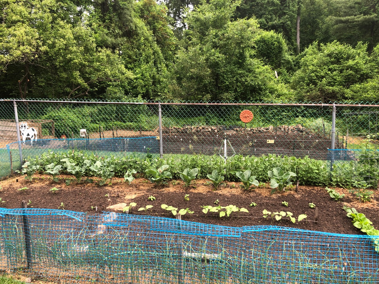 holistic-life-coach-gardening-organic