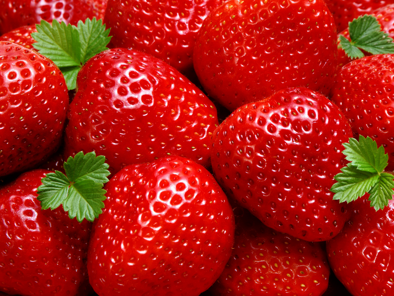 Time For The Strawberry Festival